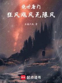 绝世唐门：狂风飓风无限风 封面