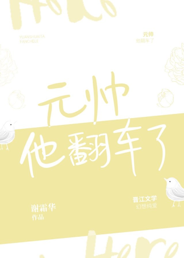 元帅他翻车了 封面
