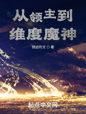 从领主到维度魔神 封面