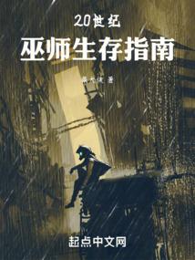 20世纪巫师生存指南 封面