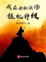 全职法师之挂机升级 封面