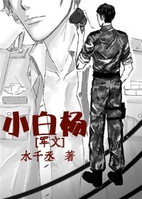 小白杨 封面
