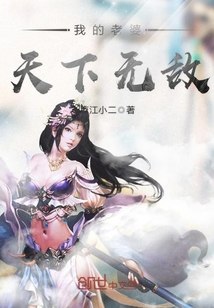 我的老婆天下无敌 封面