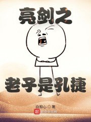 亮剑之老子是孔捷 封面