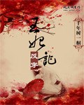 王妃反穿记 封面