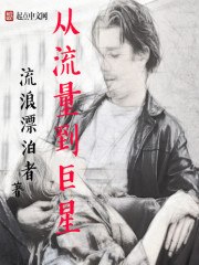 从流量到巨星 封面