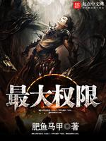 最大权限 封面
