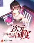 二次元国度 封面