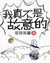 我不是故意出轨的总攻泊肖 封面