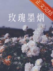 玫瑰墨烟 封面