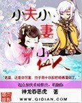 小夫小妻小仙人 封面