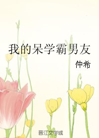 我的呆学霸男友 封面