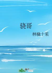 骁哥 封面