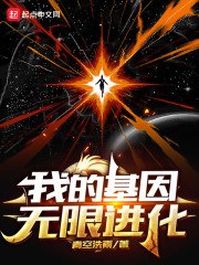 元基进化 封面