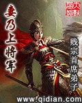 妻乃上将军 封面