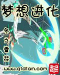 梦想进化 封面