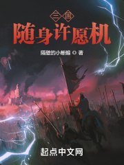三国：随身许愿机 封面