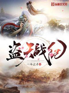 盗天战纪 封面