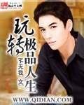 玩转极品人生 封面