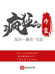 疯狂的作家 封面