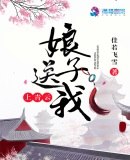 娘子送我上青云 封面