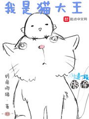 我是猫大王 封面