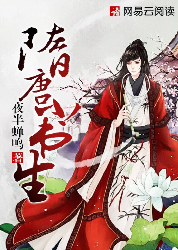 隋唐小书生 封面