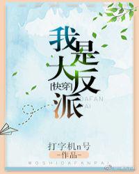 你是我的光芒小说白术顾野 封面