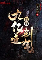 我有九亿道剑气 封面
