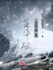 重生斗破之小医仙 封面