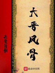 大晋风骨 封面