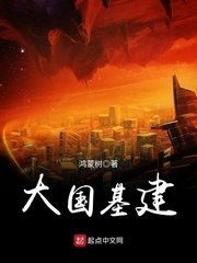 大国基建 封面
