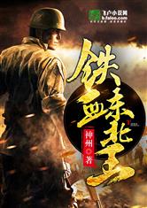 铁血东北王 封面