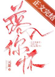 落入你怀 封面